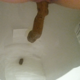 This is a brief, but complete inside of the toilet bowl view of a woman taking a shit and a piss. Very amateur video. Presented in 720P HD.